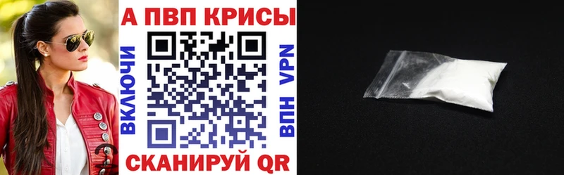 omg   Гай  Alfa_PVP СК 