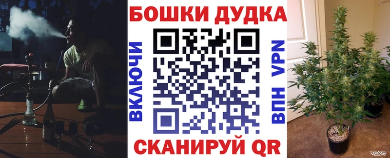 Бошки Шишки MAZAR  Гай 